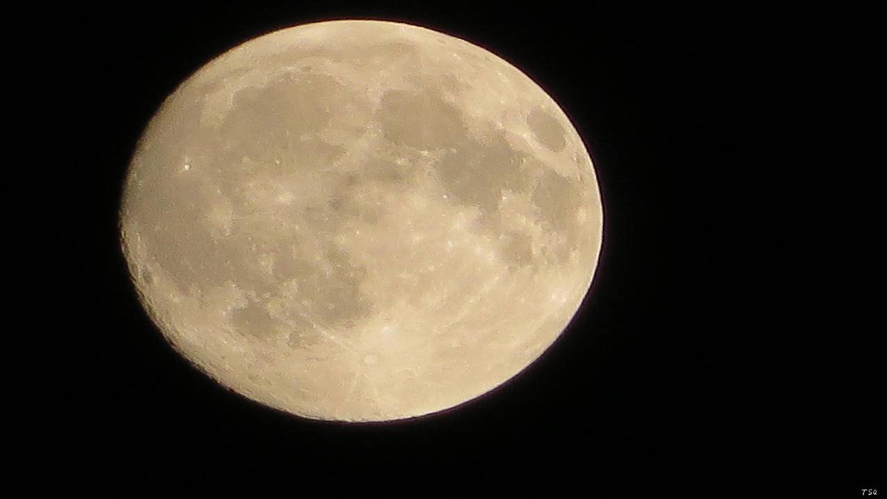 油管手机网页版怎么发弹幕_油管怎么打开弹幕 - youtube相关 - 55dz账号网