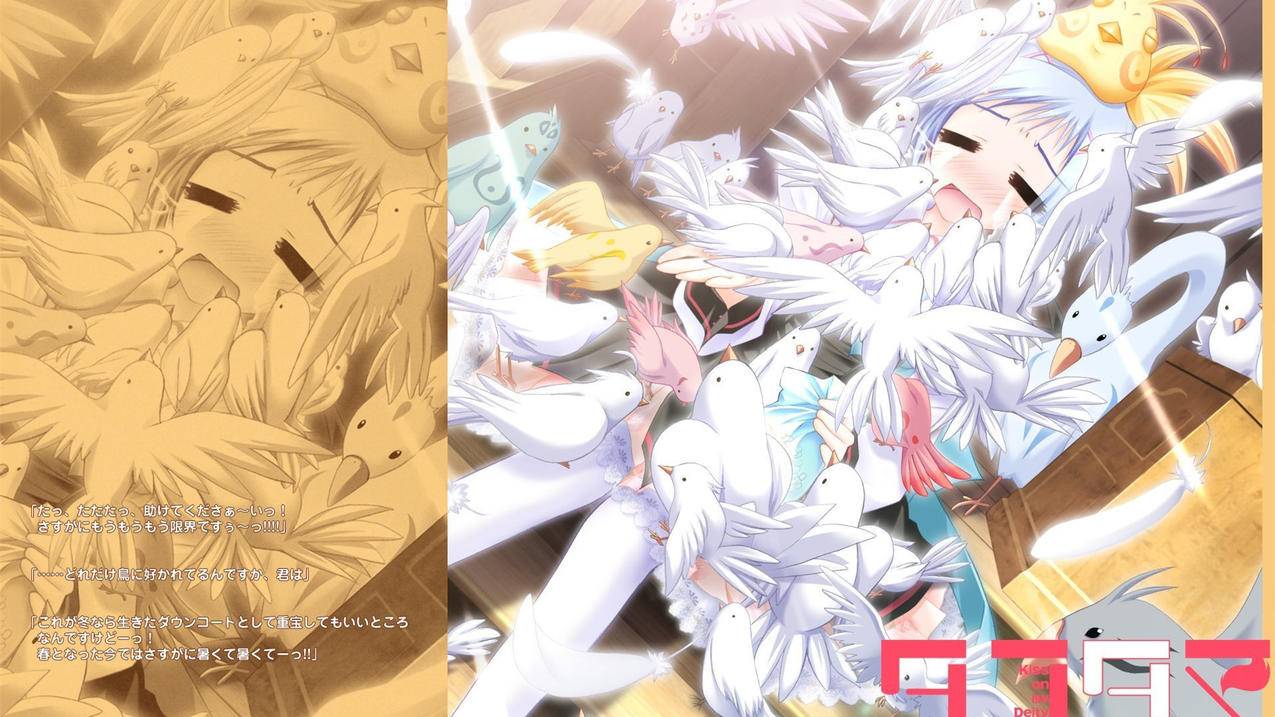 Atlas安装与使用 - Apple ID相关 - 55dz账号网