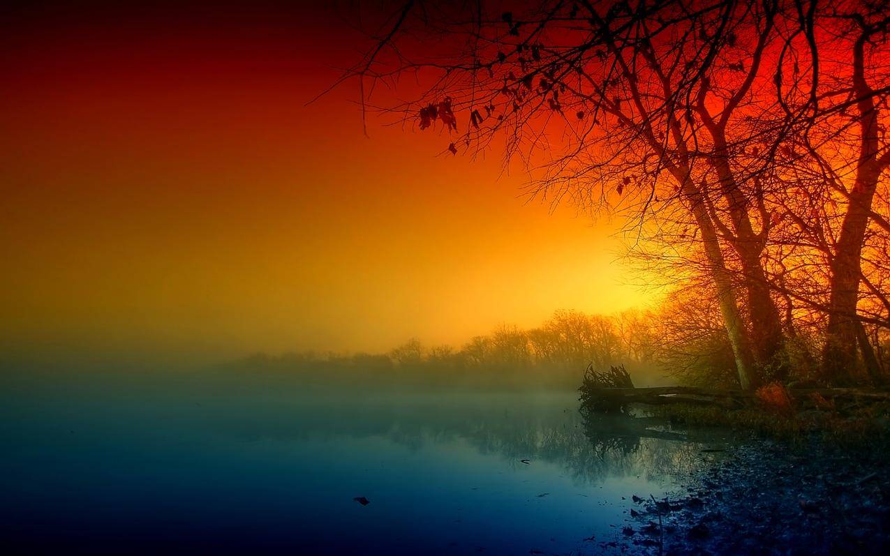 苹果 ID绑定了QQ但是QQ现在是别人的,怎么办,能不能解绑? ， qq被之前的手机注册了id怎么办  - 55dz账号网