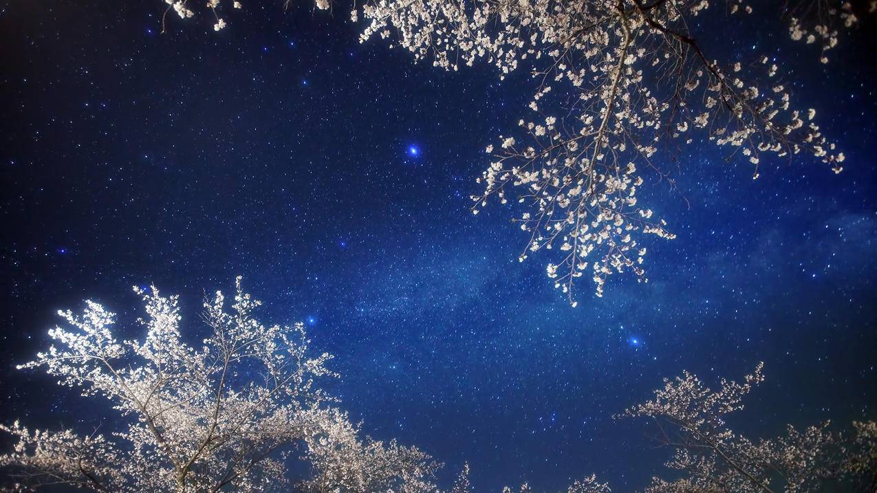 注册韩国苹果id无信用卡_注册韩国苹果id无信用卡账户 - 各区苹果ID - 55dz账号网