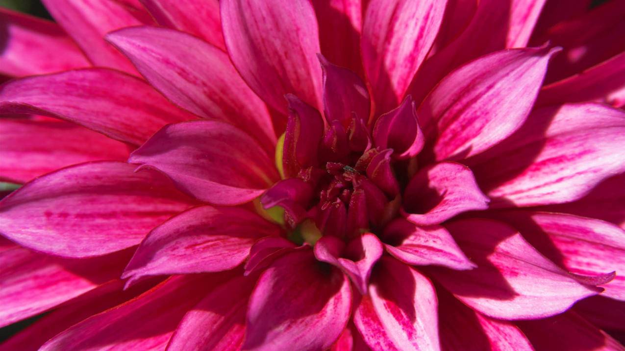 澳门街道地址电话创菲律宾苹果id（澳门apple地址） - 各区苹果ID - 55dz账号网