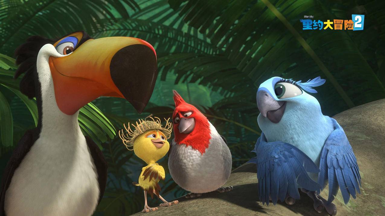 googleplay商店无法登录小米_小米googleplay商店无法登陆 - google相关 - 55dz账号网