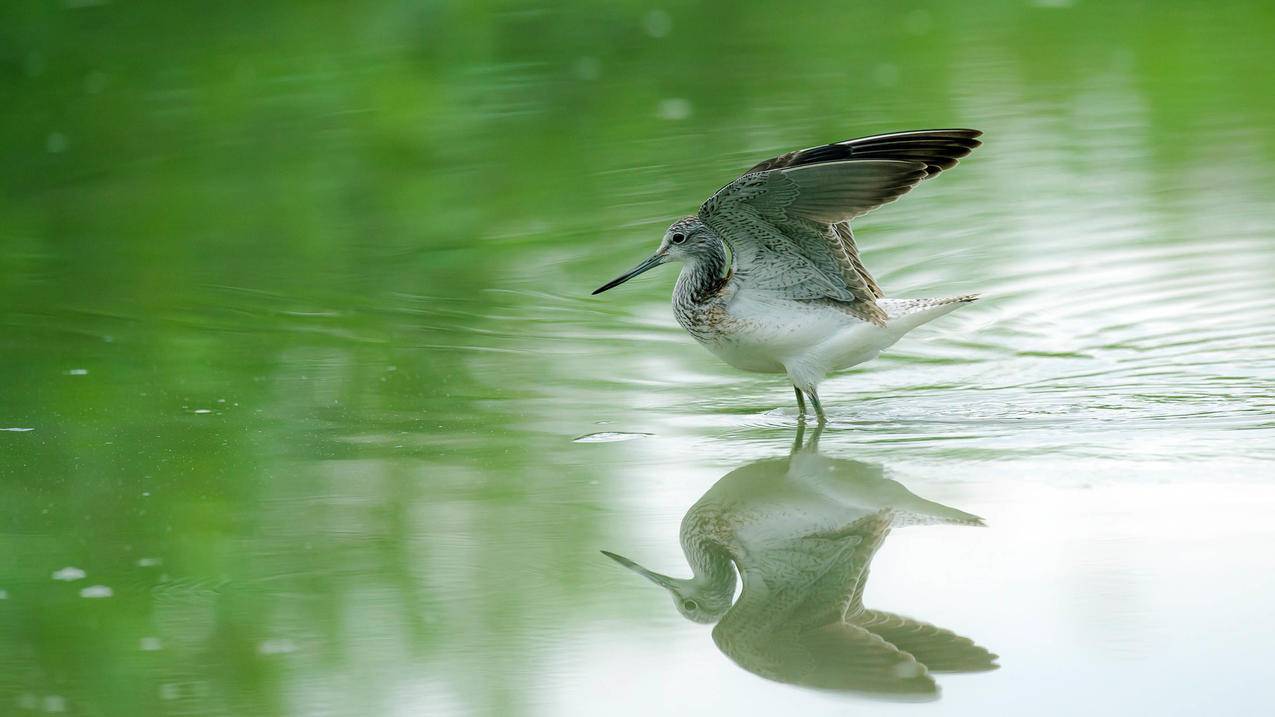 越南apple id被锁了,怎样退出登陆 - 各区苹果ID - 55dz账号网