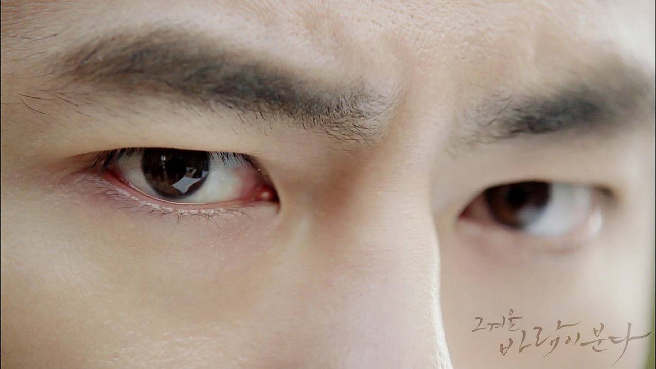 ios小火箭怎么用  ( ios怎么加速 ) - 55dz账号网