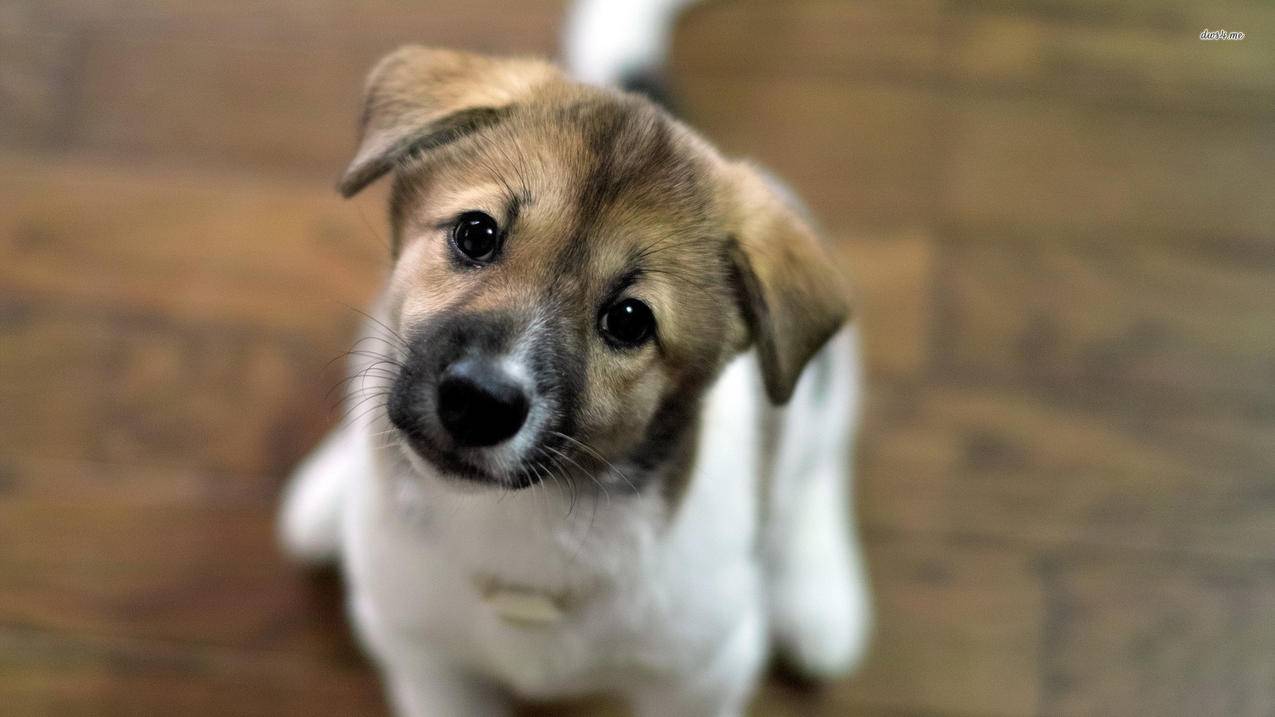 登录微信需要id 怎么处理 ， 微信没有id怎么办  - 55dz账号网