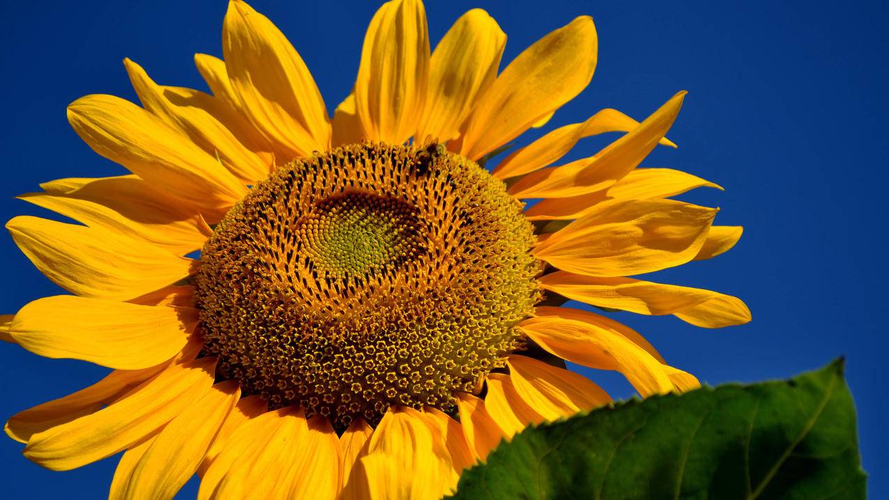 安卓小火箭怎么添加节点  ( 小火煎加速器怎么用啊? ) - 55dz账号网