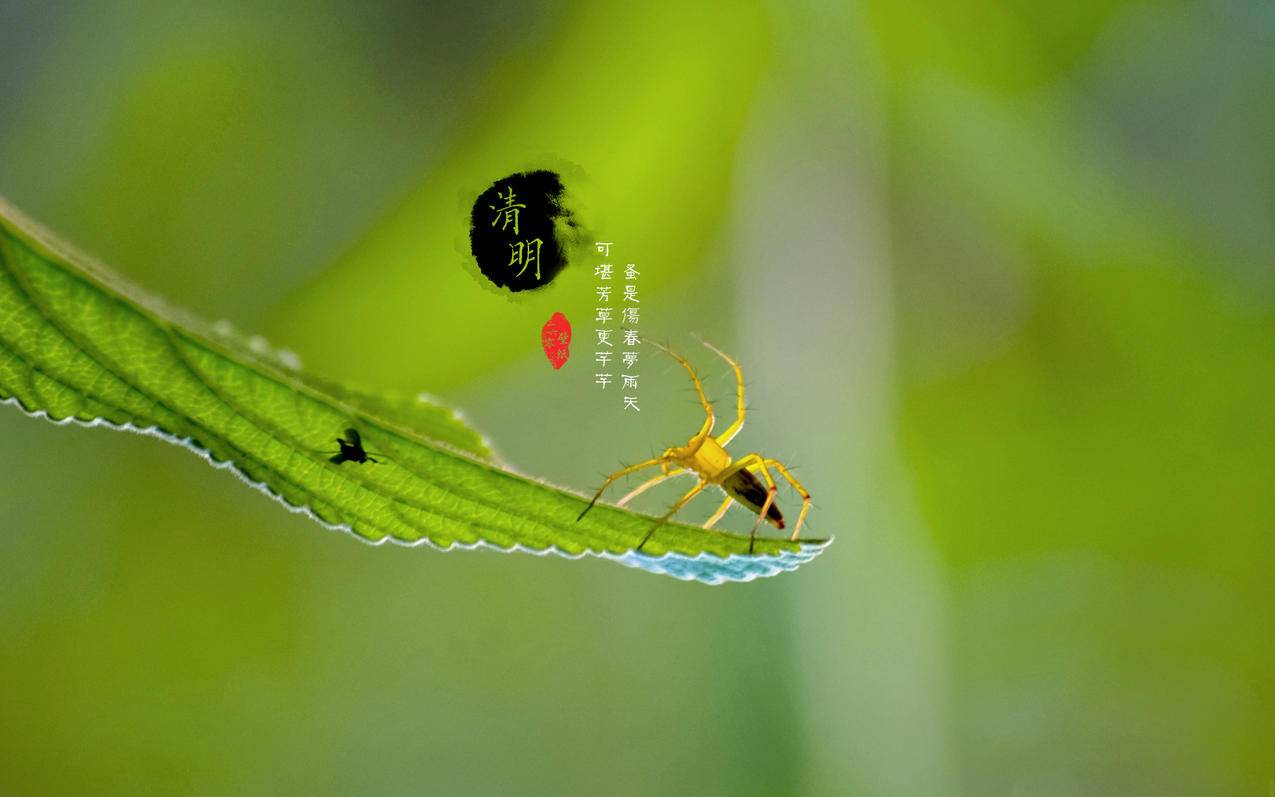 怎么更改日本appleid账号密码_日本苹果id密码怎么改 - 日本苹果ID - 55dz账号网