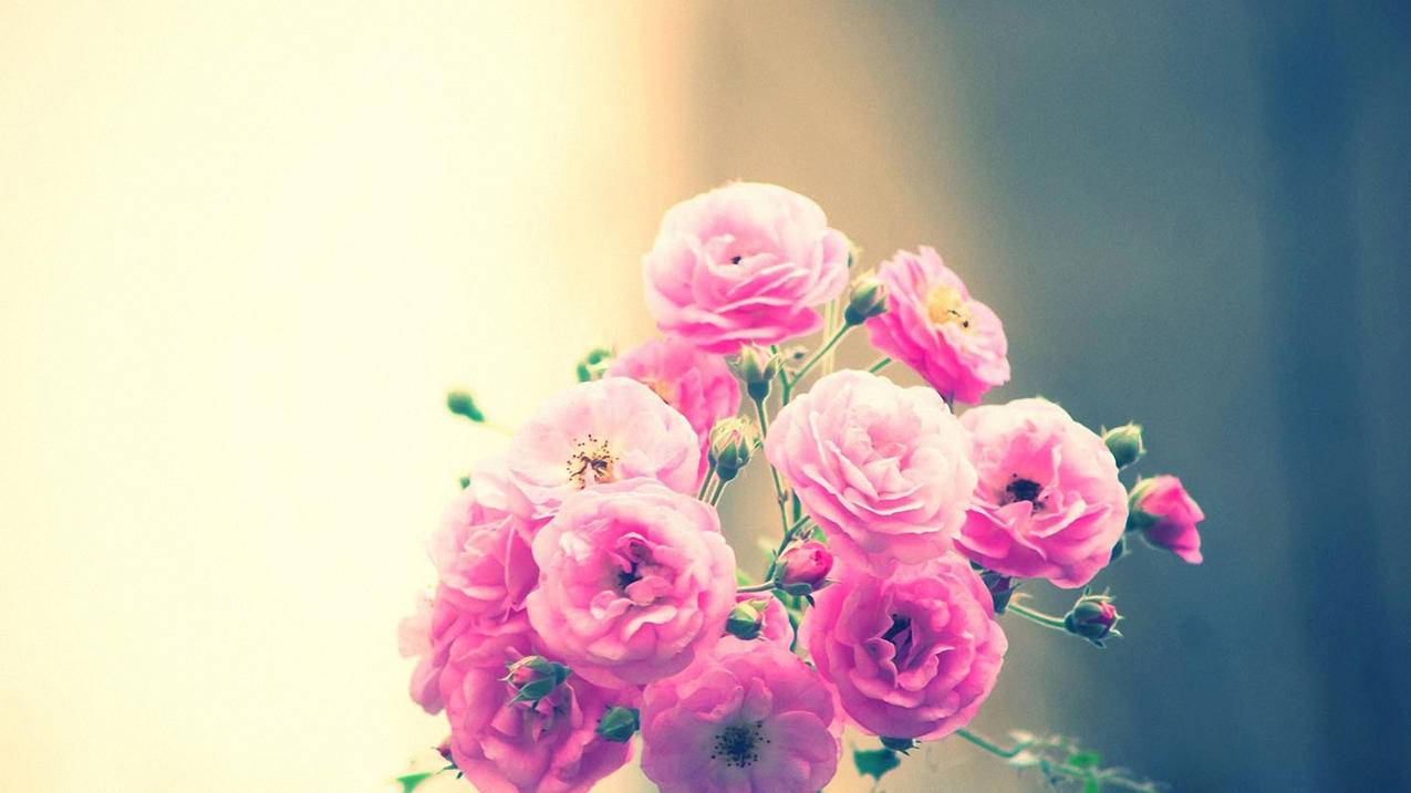 刷点击量软件自动换ip - 刷赞平台推广qq免费网站-QQ赞在线代刷