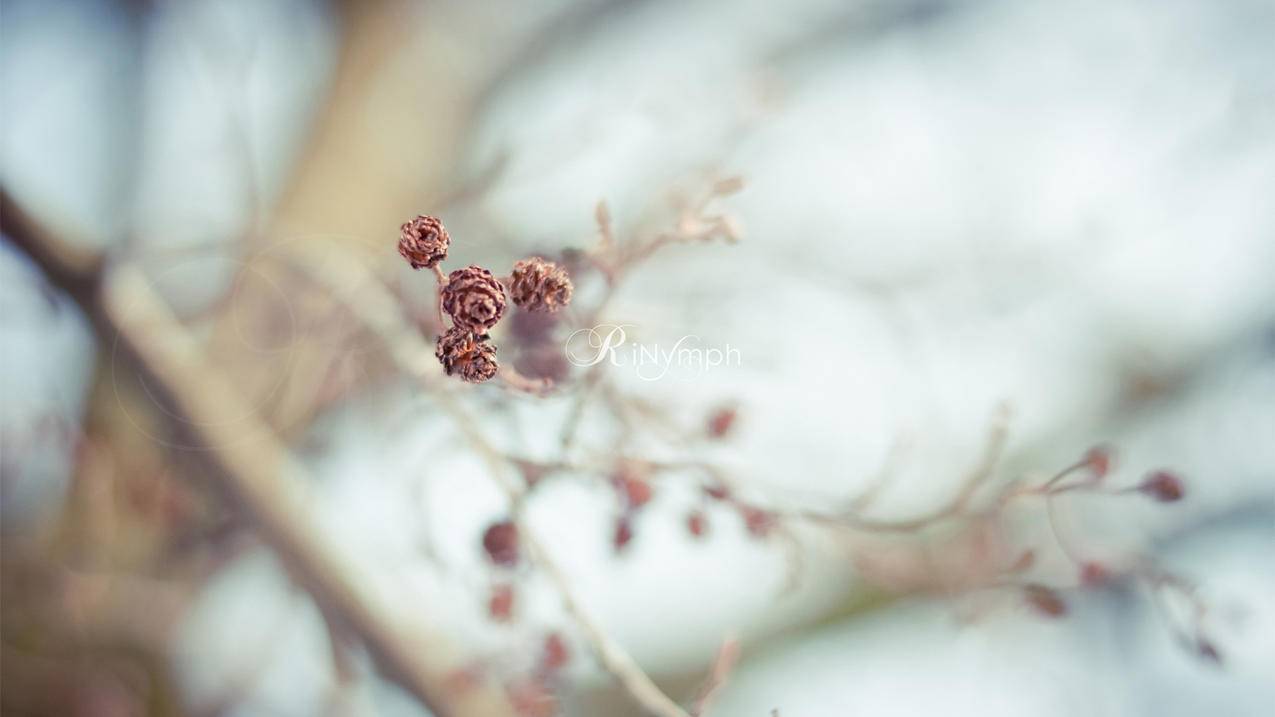 英服iPhone账号共享免费提供[最新公共使用]_海外appleid