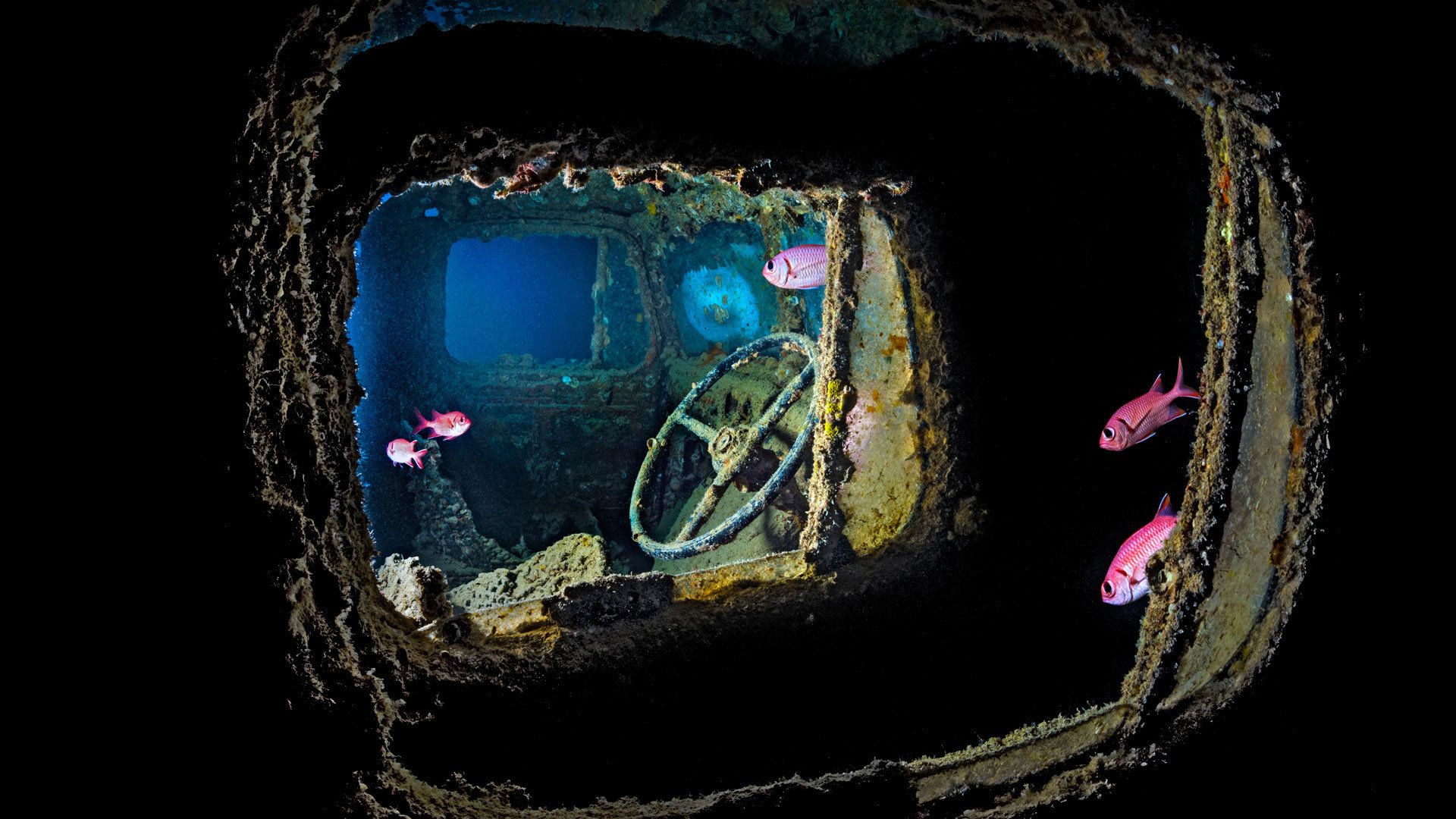 小火箭共享账号每天更新  ( 如何使用SSR加速器? ) - 55dz账号网