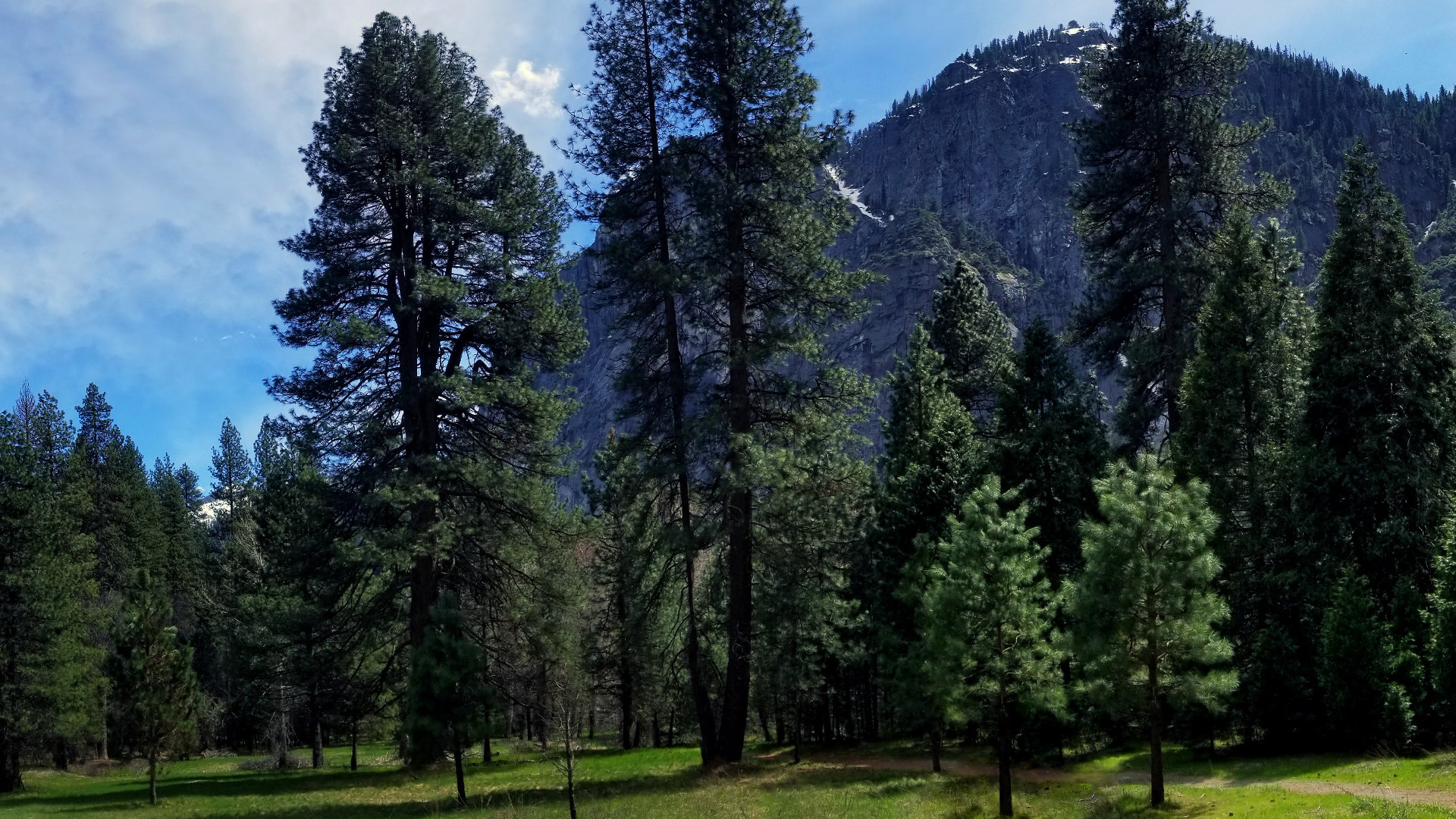 facebookapkdownloadfree新闻_facebookdownloadapp新闻 - facebook相关 - 55dz账号网