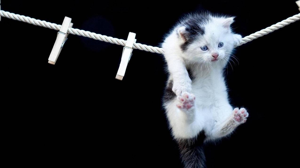 139邮箱注册越南苹果id安全吗（139邮箱注册越南苹果id安全吗知乎） - 各区苹果ID - 55dz账号网