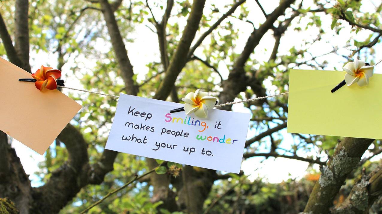 小火箭是什么软件  ( 苹果手机小火箭怎么续费 ) - 55dz账号网