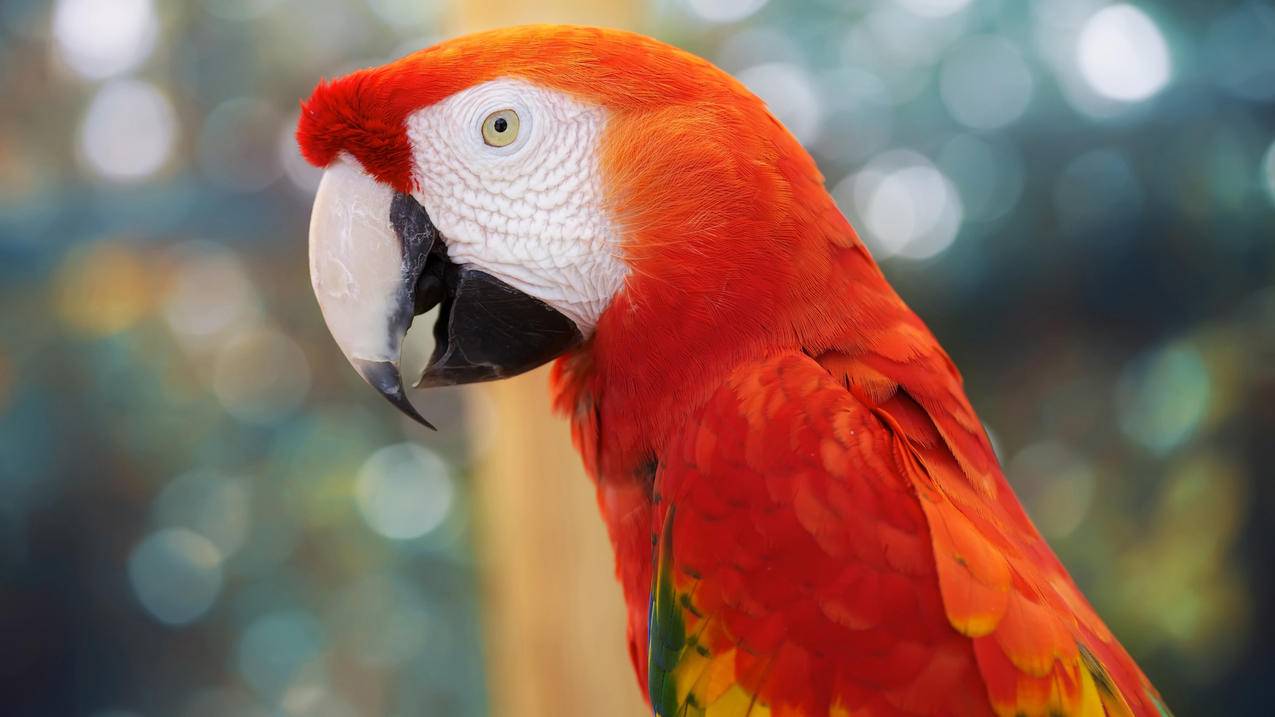 六字游戏id名字大全400个 ， 英文id干净简短且冷门  - 55dz账号网