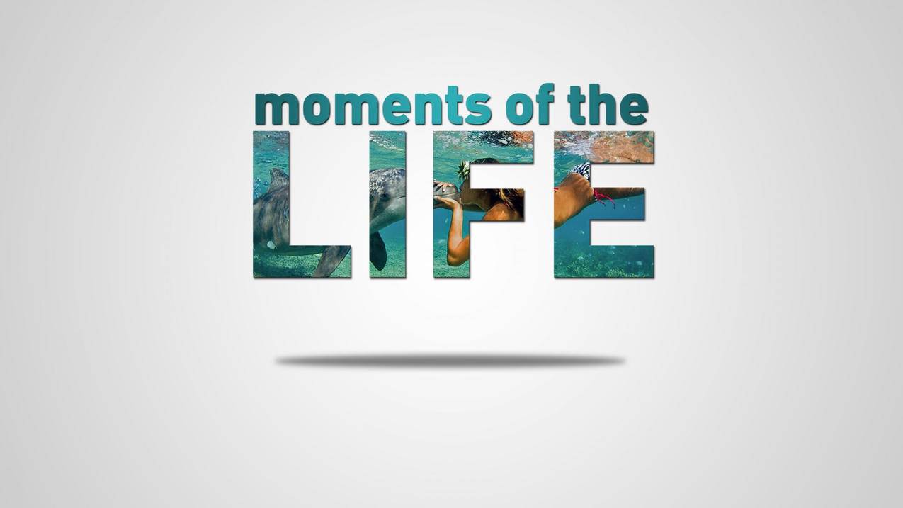 clash选择global_clash选择语言 - clash相关 - 55dz账号网