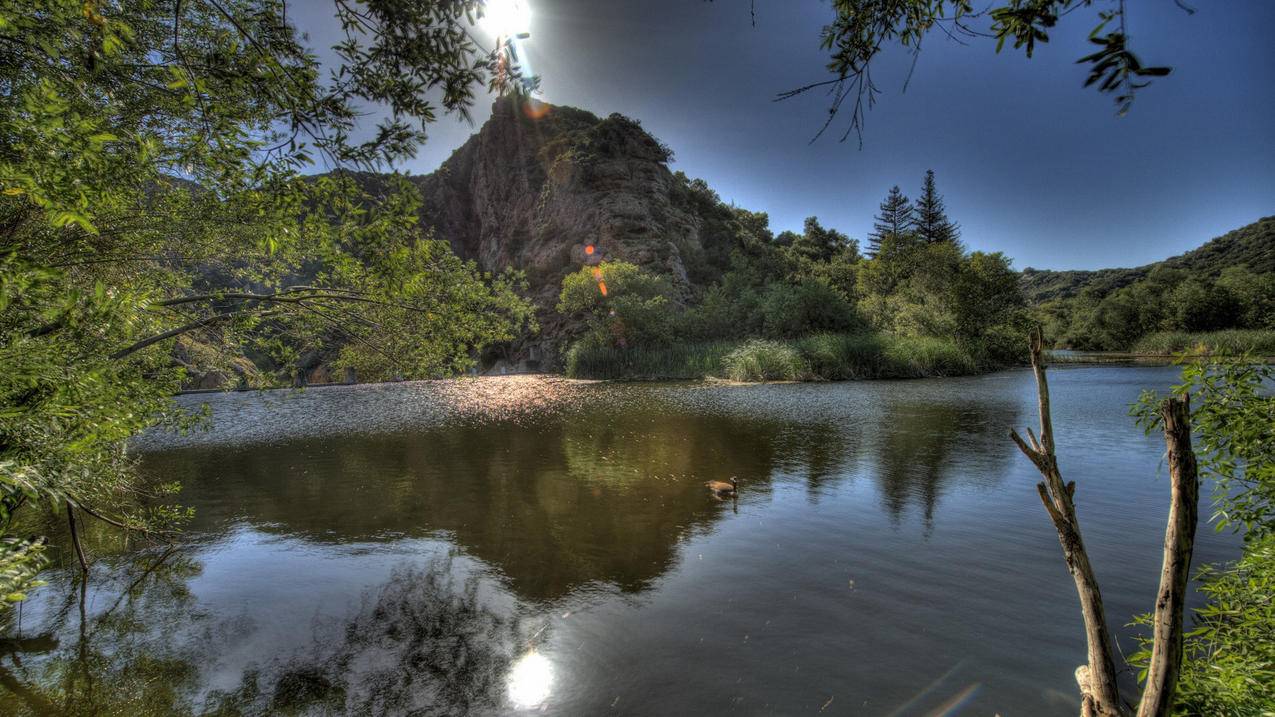 香港苹果id地址_香港苹果id地址查询 - 香港苹果ID - 55dz账号网