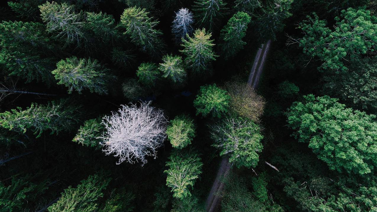 汇想代刷网 - 快手代刷网站超低价,刷快手双击50个免费网址,快手赞低价网站
