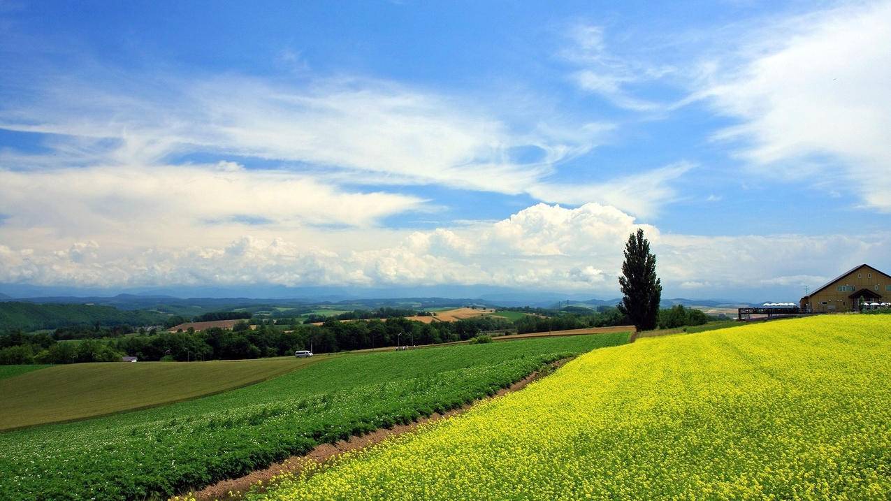 tiktok主播退出公会_tiktok知名主播 - 苹果APP下载 - 55dz账号网