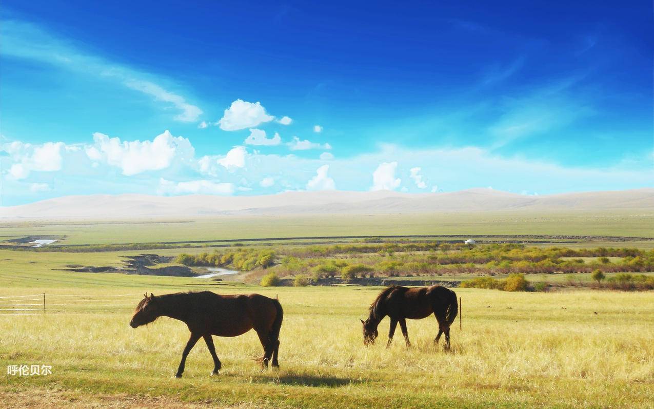 我的世界0.13.0下载正式版下载地址详解 - Apple ID相关 - 55dz账号网