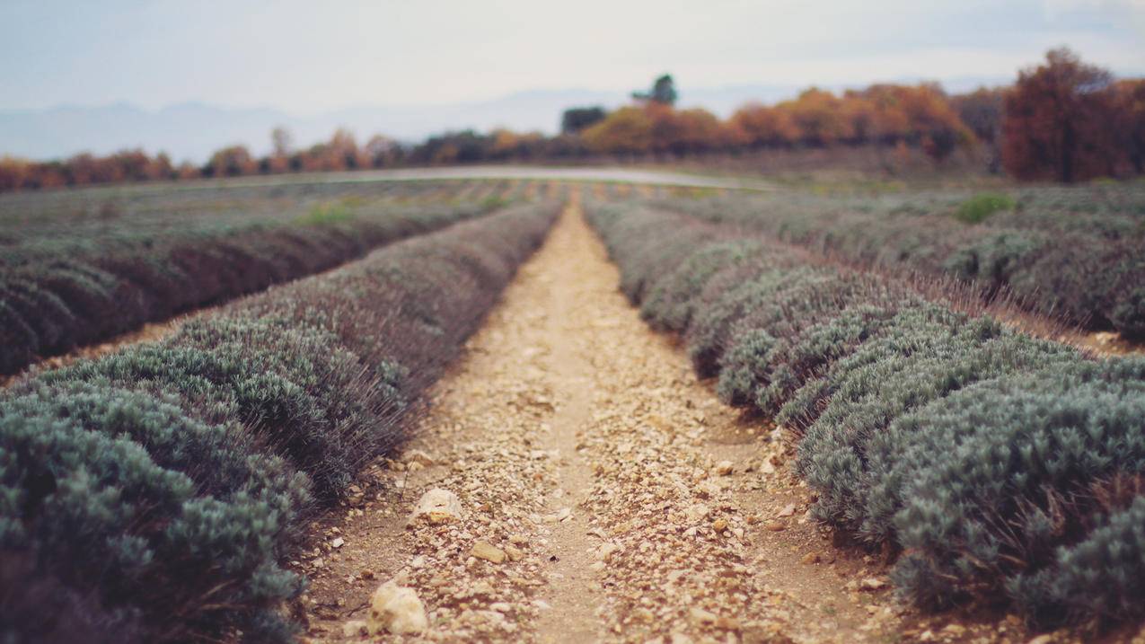 现代化词根词缀词尾_词根,词缀,词尾 - messenger相关 - 55dz账号网