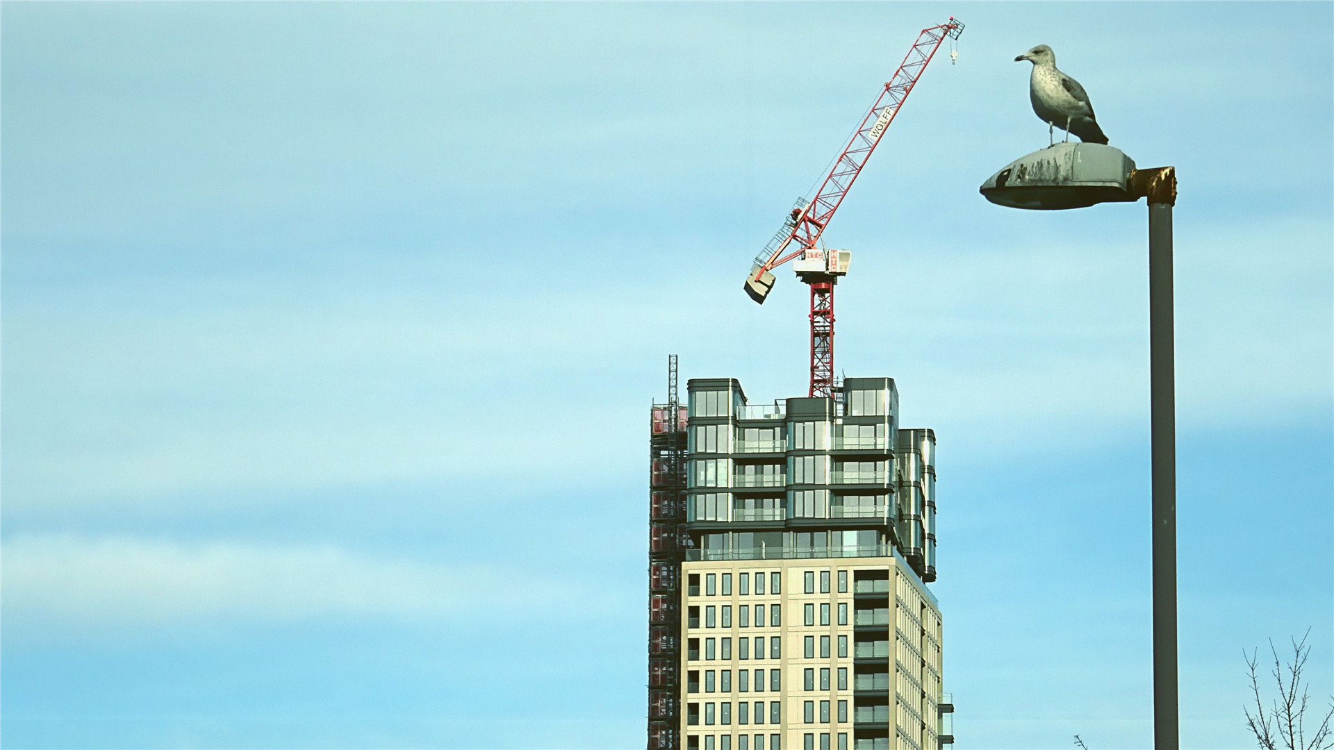 用丢失的苹果手机id登录新买的手机有什么问题么知乎 ， 苹果手机id如何注销  - 55dz账号网