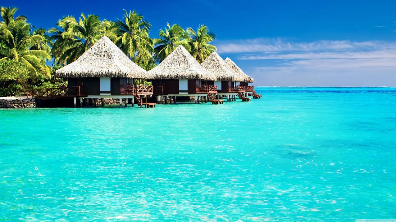 shadowrocket不能用了的简单介绍 - 注册外服方法 - 55dz账号网