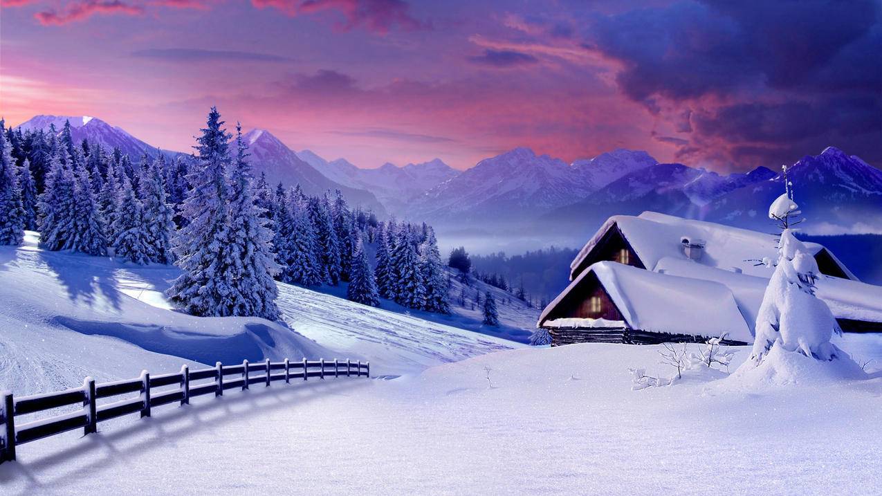 苹果小火箭怎么下载?  ( shaderocket安卓版怎么下载 ) - 55dz账号网