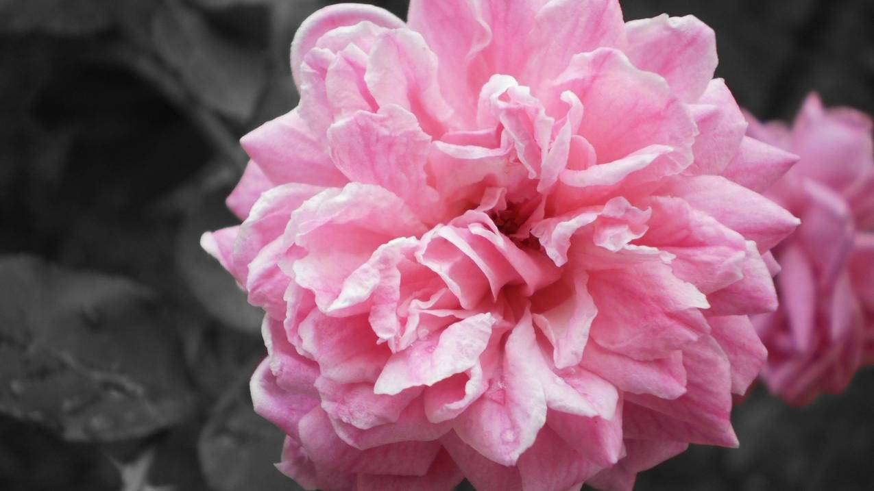 ins电话号码无效参数_ins电话号码不正确 - gmail相关 - 55dz账号网