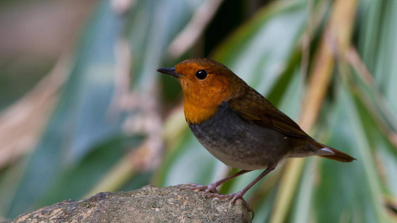 高中数学互选问题有哪些，高中数学中的互选问题具体包含哪些类型？ - 自助下单ks - ks24小时自助