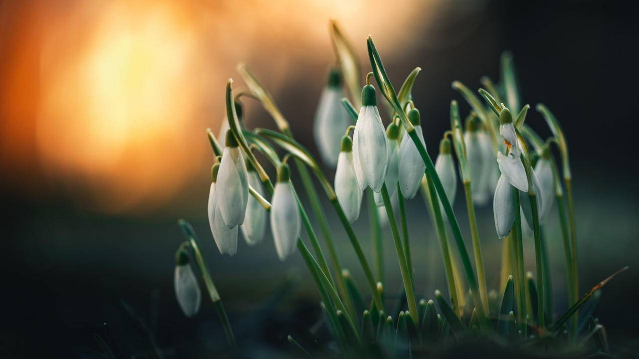 小火箭推荐_小火箭大火箭哪个好 - 注册外服方法 - 55dz账号网