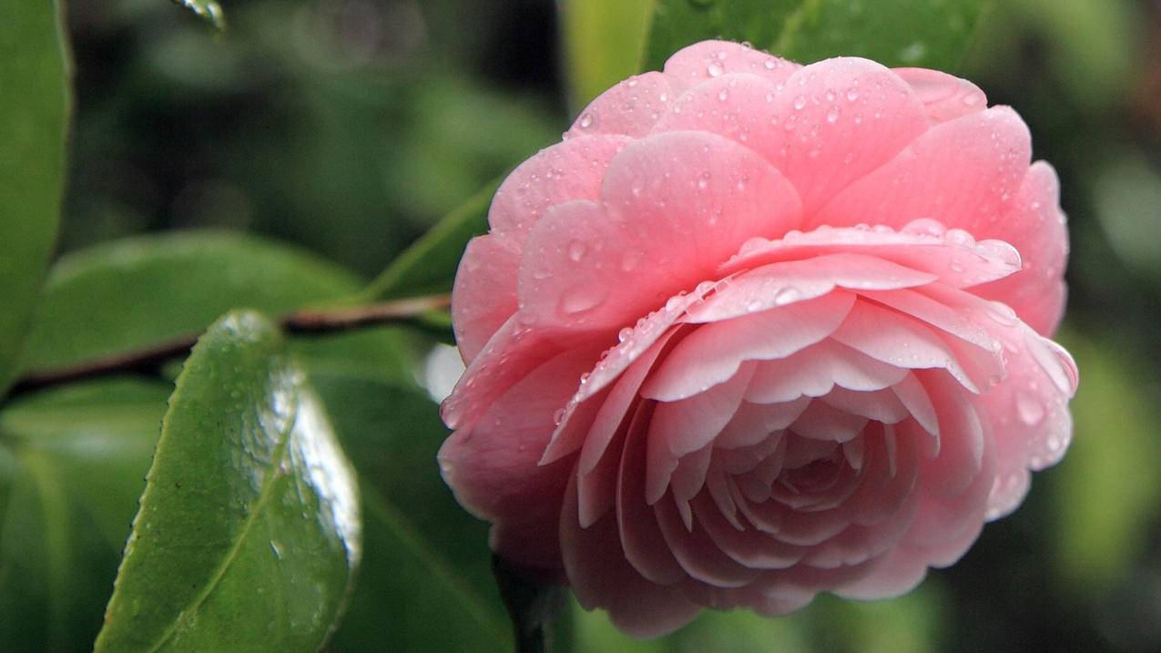 创建越南apple id代码是什么（越南apple id注册） - 各区苹果ID - 55dz账号网