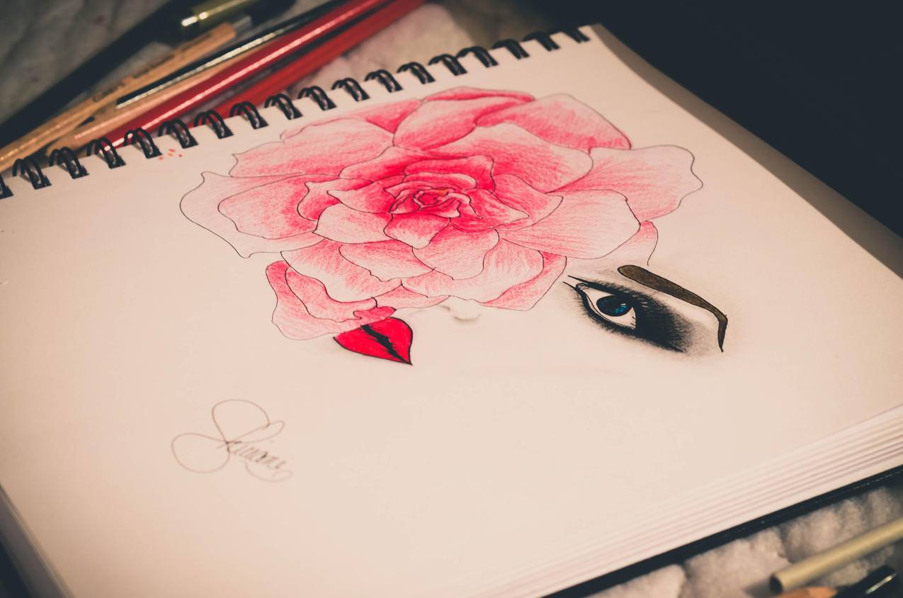 line不能加好友_line没好友 - Line相关 - 55dz账号网