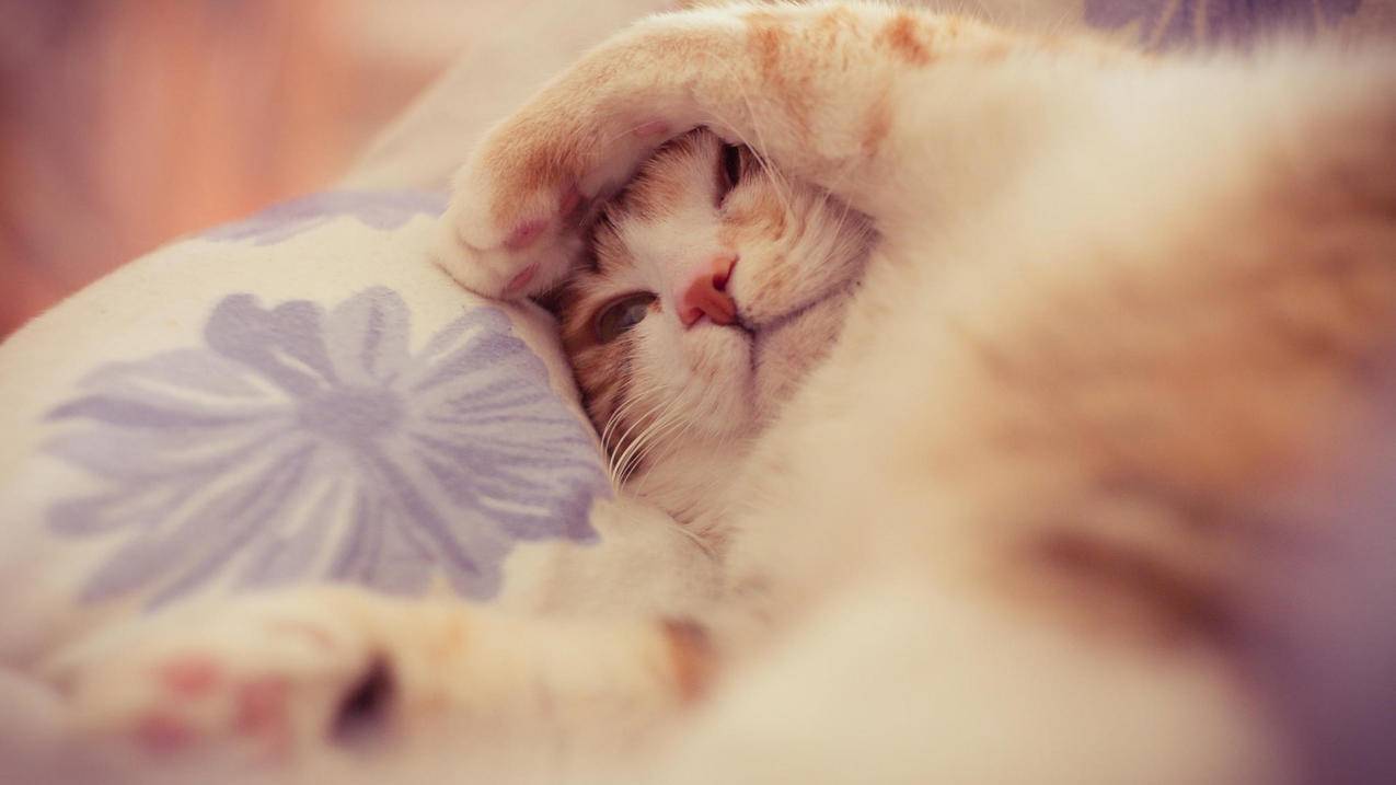 包含shadowrocket好用吗的词条 - 注册外服方法 - 55dz账号网