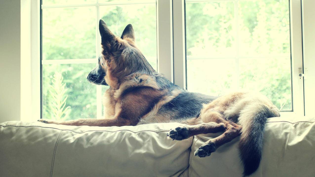 fifaonline4克罗斯哪个好2022_fifaonline4ebs克罗斯 - Line相关 - 55dz账号网