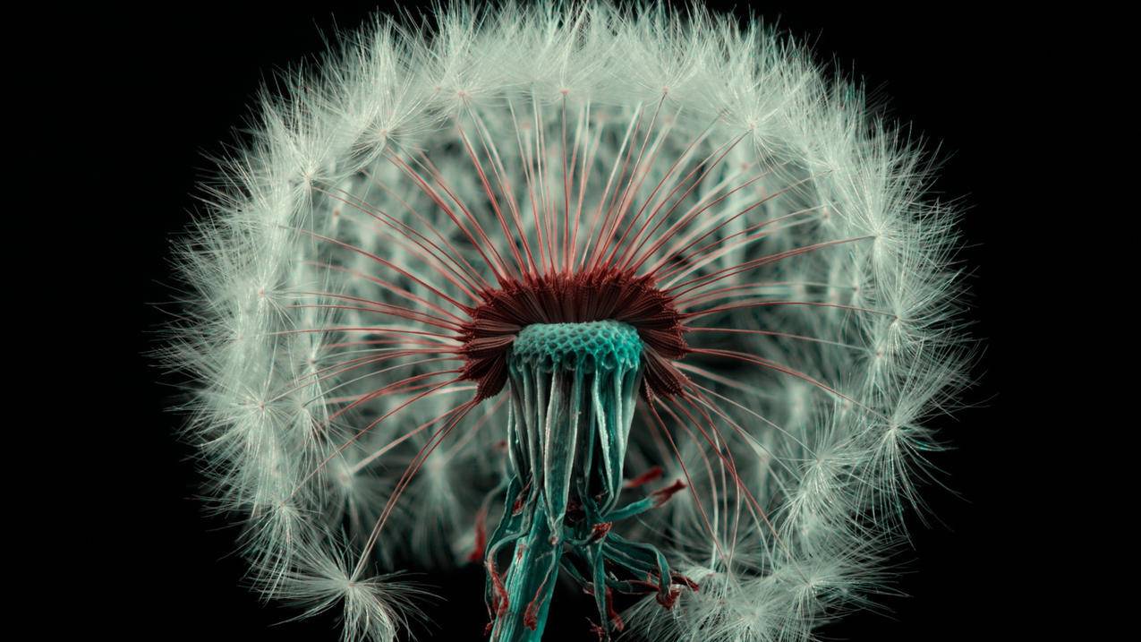 说说浏览量在线刷 - qq刷赞网站全网+最低价啊空间赞网站_qq刷赞软件便宜