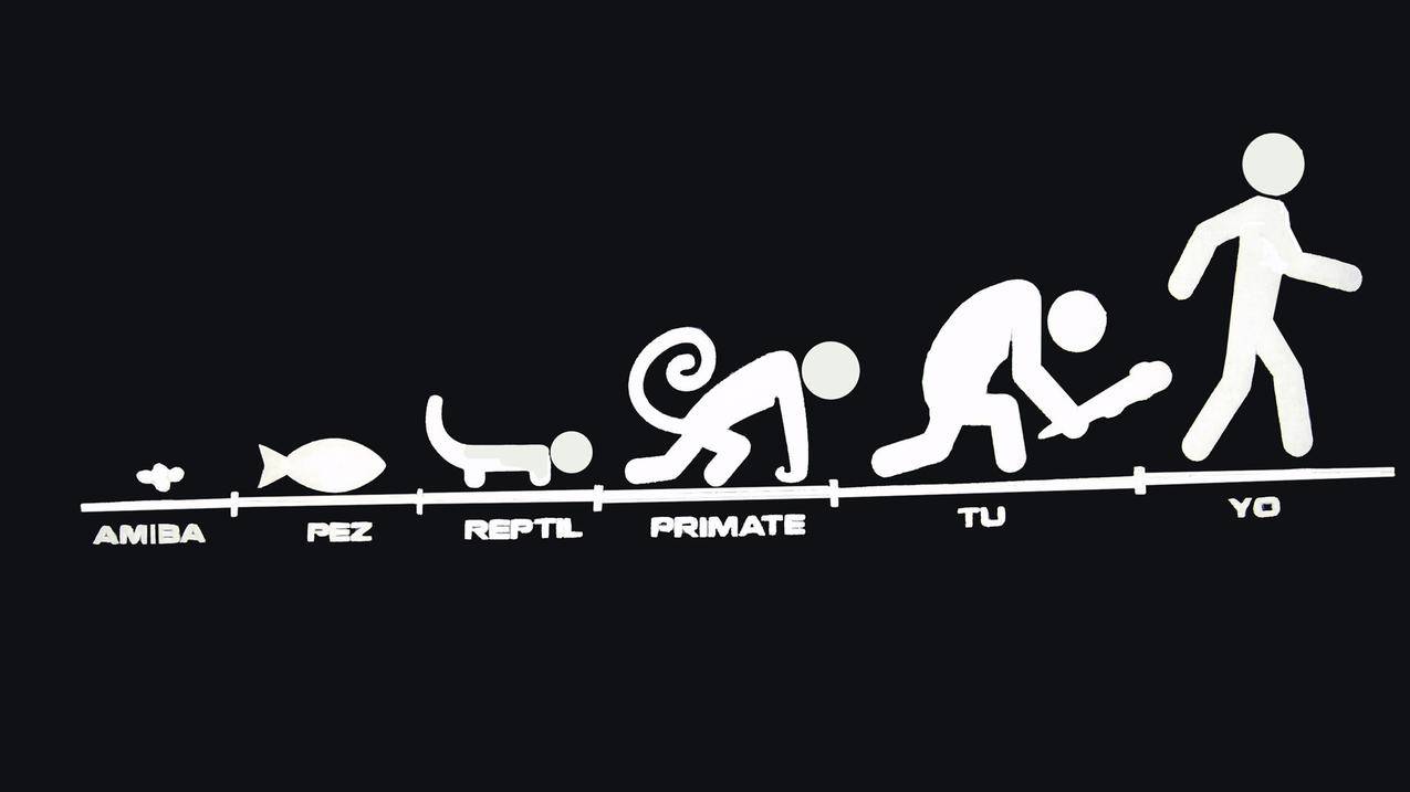 初中数学课堂如何设计高效导入环节？ - 初中教育 - ks24小时自助