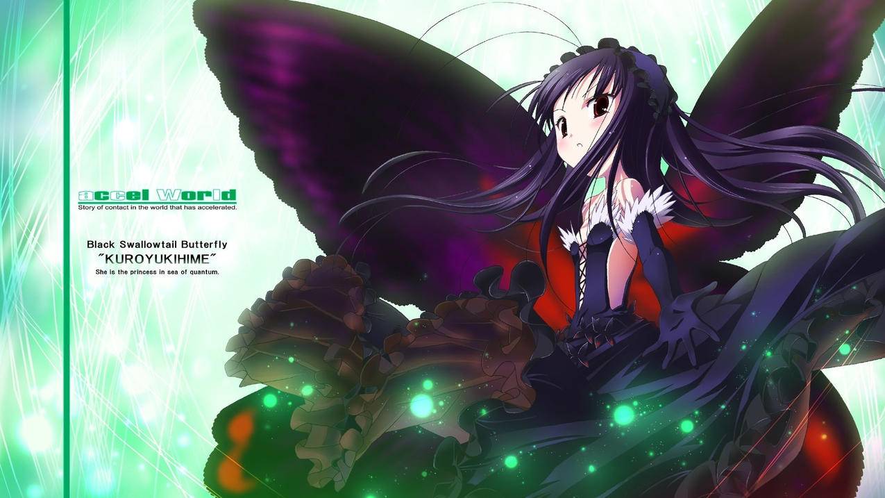 skype组织注册写什么_组织注册地址skype - skype相关 - 55dz账号网