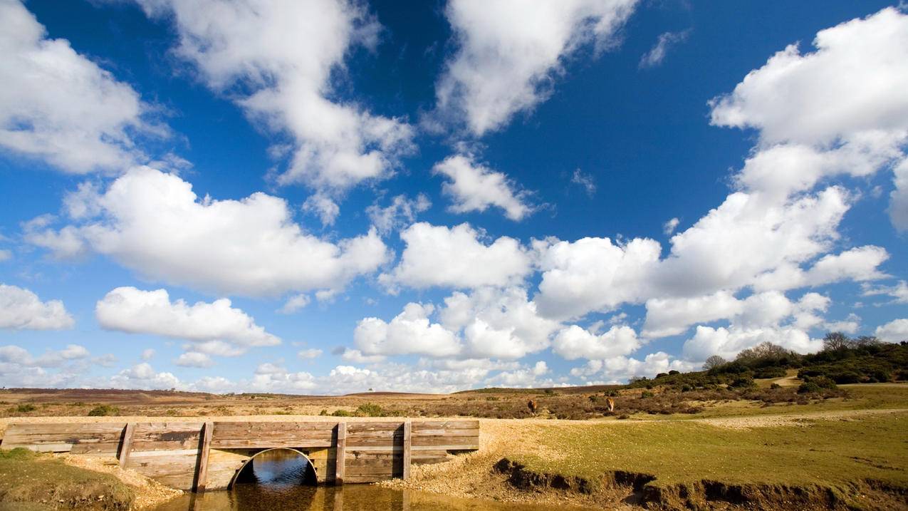 刷抖音评论赞网站 - 0.1元1000赞平台,刷快手网站,超低价球球大作战业务自助下单平台
