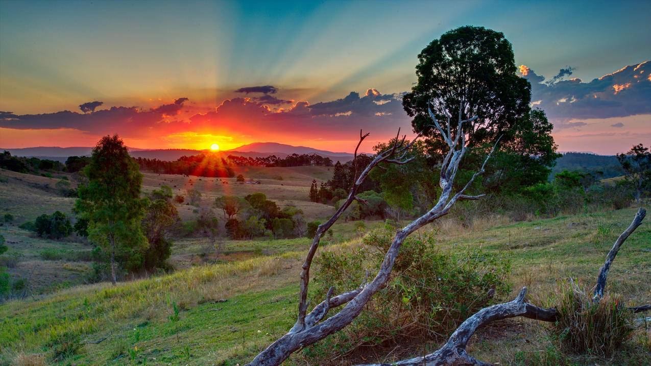 快手置顶刷赞干货科普 - 免费刷抖音作品浏览量,qq抖音赞自助平台真人粉丝qq支付