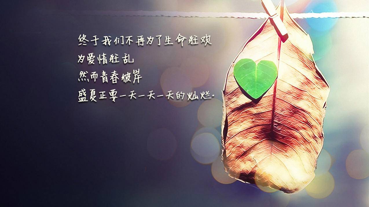 买的韩国苹果id被停用了_2020最新互砍微信群免费 - 韩国苹果id - 55dz账号网