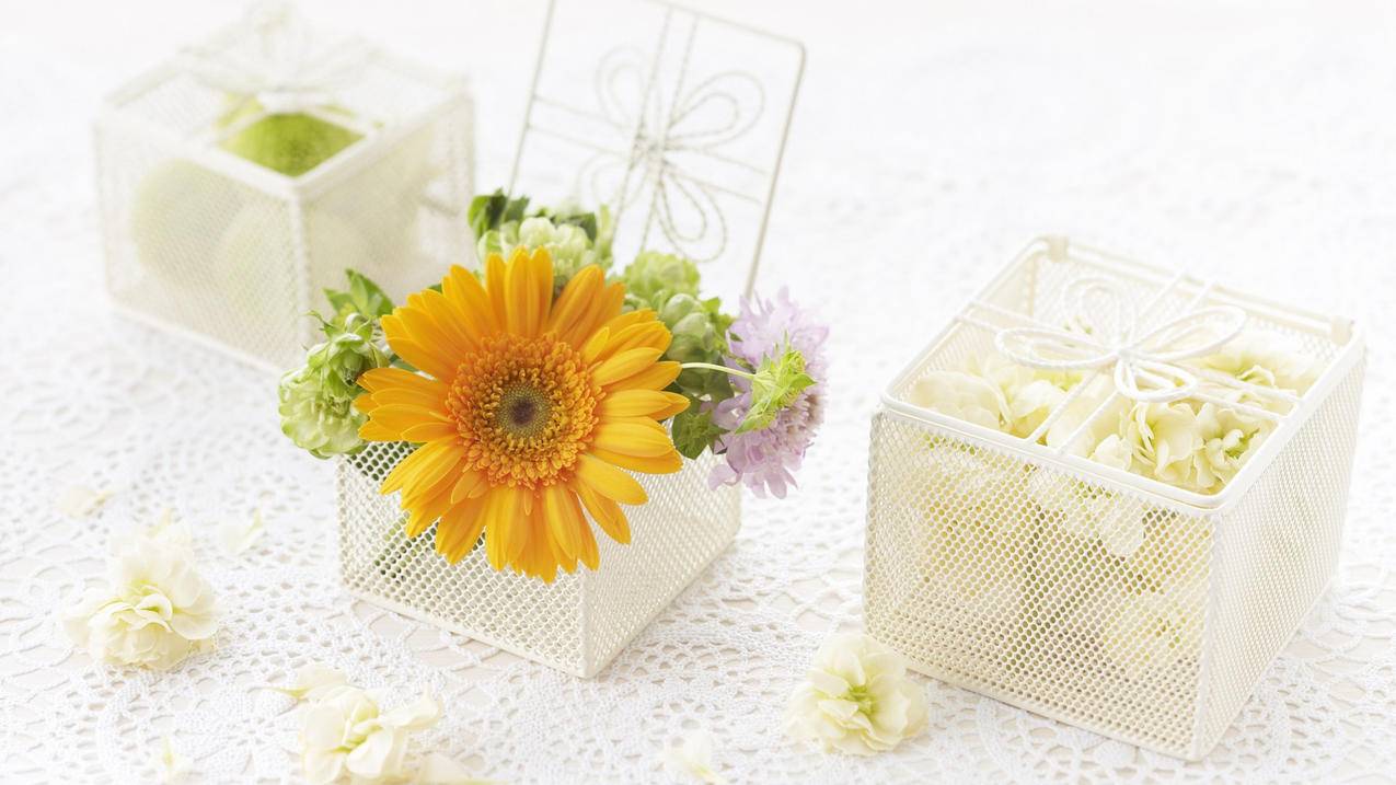 messengerapkdownloadapps的简单介绍 - messenger相关 - 55dz账号网