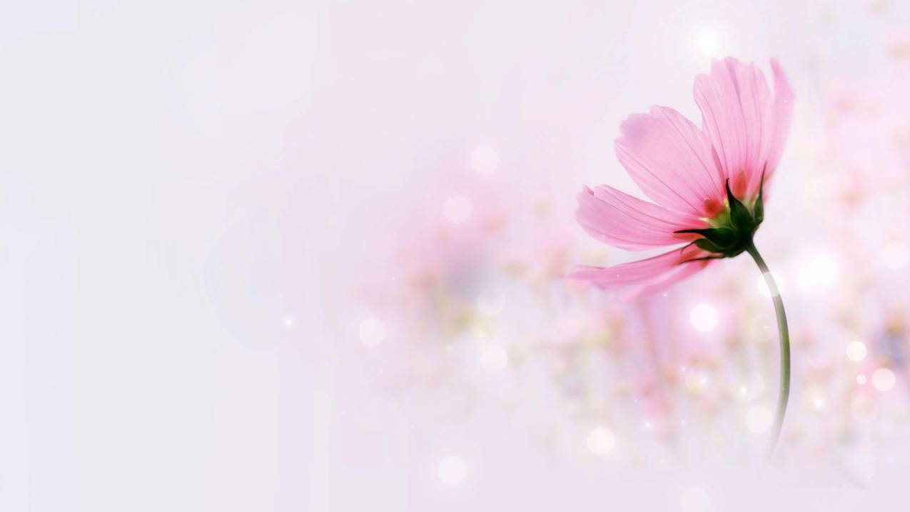 小火箭怎么设置全局  ( 连接wifi,shdowrocket节点超时 ) - 55dz账号网