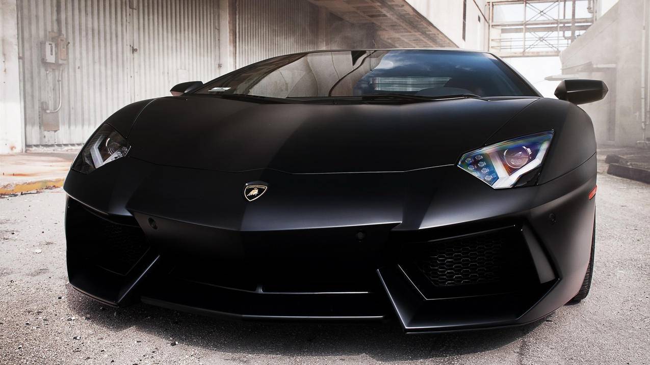 skype怎么翻译对话_skype可以翻译吗 - skype相关 - 55dz账号网