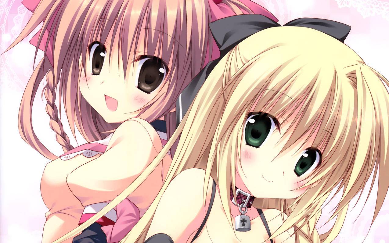 韩国ios14.1_韩国ios17+认证账号共享 - IOS分享 - 55dz账号网