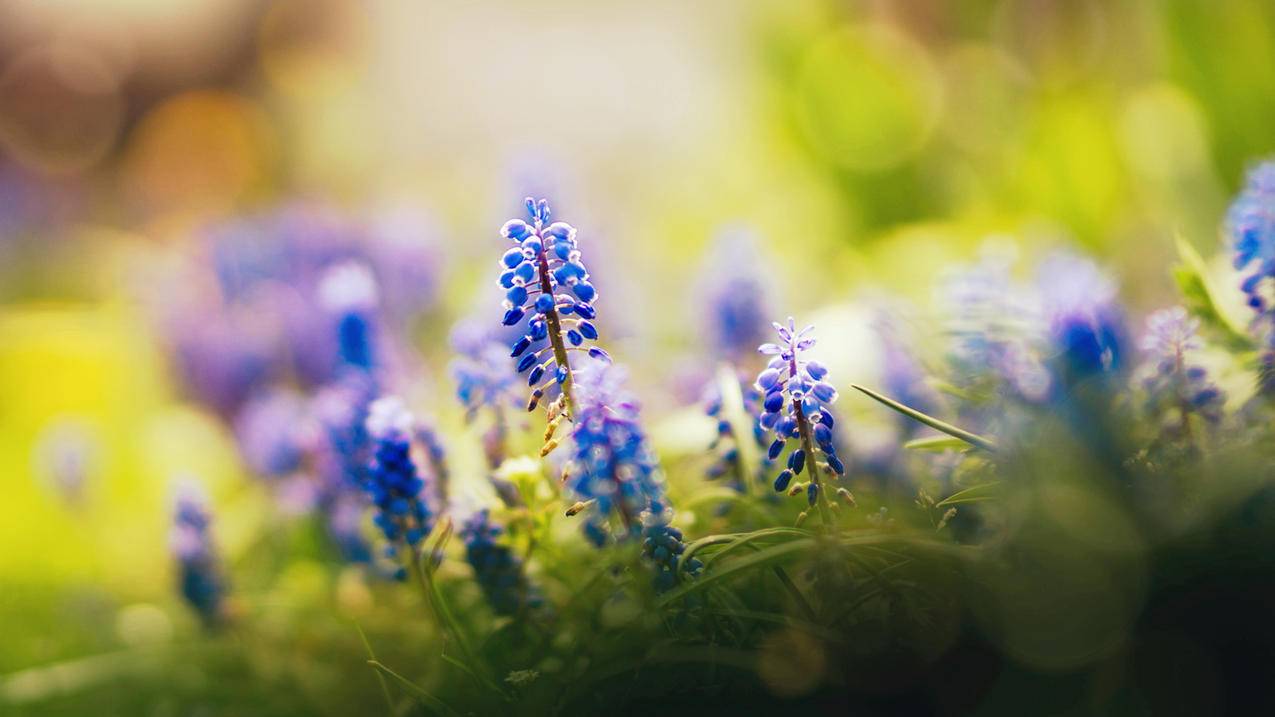 韩国appleid一定要绑定支付方式吗_韩国苹果id绑定支付宝 - 韩国苹果id - 55dz账号网