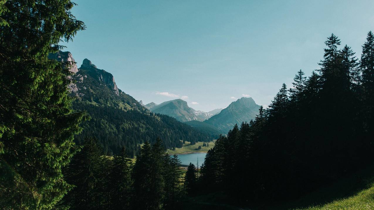 快手免费下单 卖赞 - 抖音代刷业务_网红助手-唱鸭刷心动网址入口