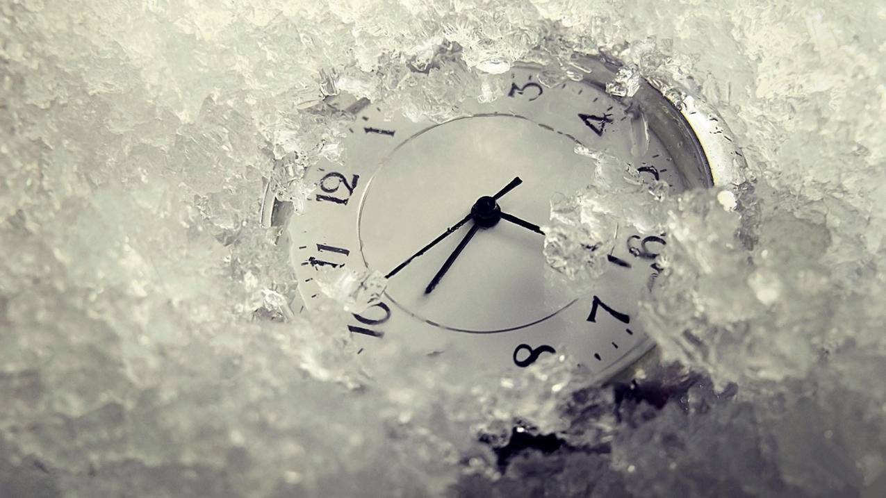 抖音美国版tiktok下载_美国版抖音tiktok最新版本 - tiktok相关 - 55dz账号网