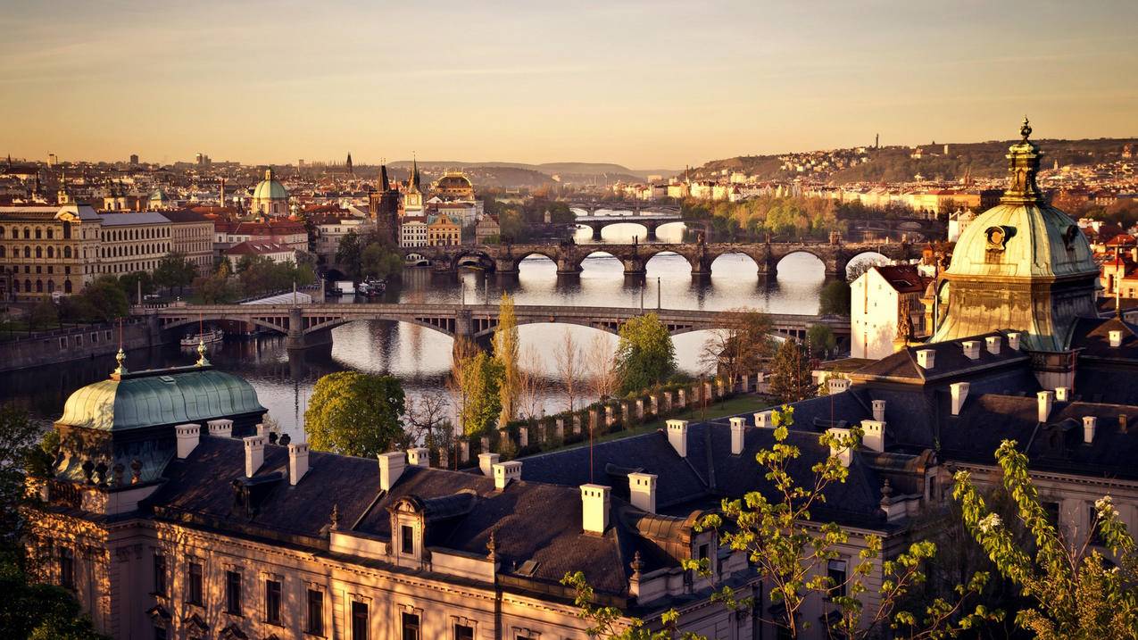 空间刷赞平台全网 最低价啊豪免费 - QQ买赞网站_代刷抖音在线平台