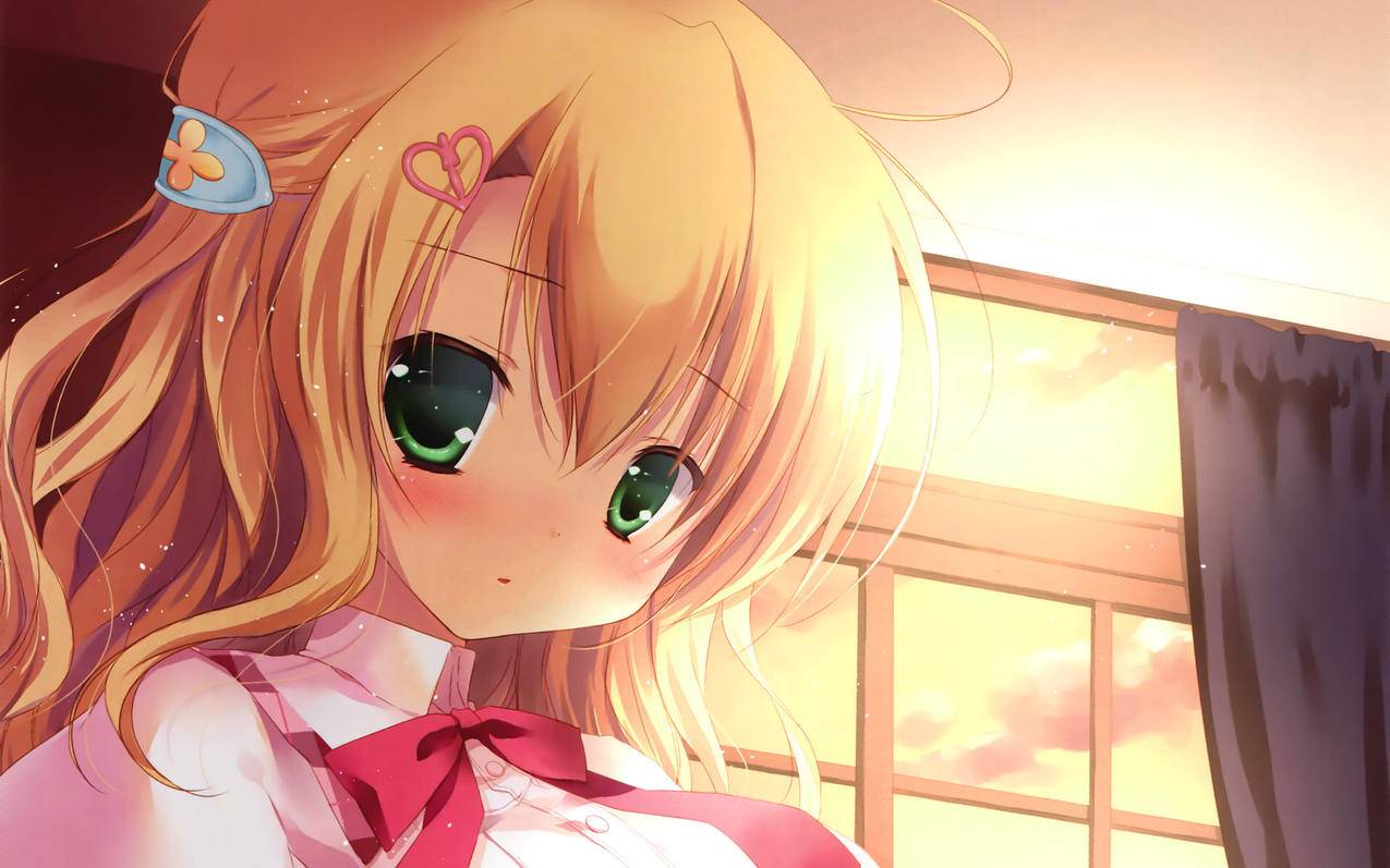 为什么看别人ins的照片很模糊_为什么ins照片很看着模糊 - INS相关 - 55dz账号网