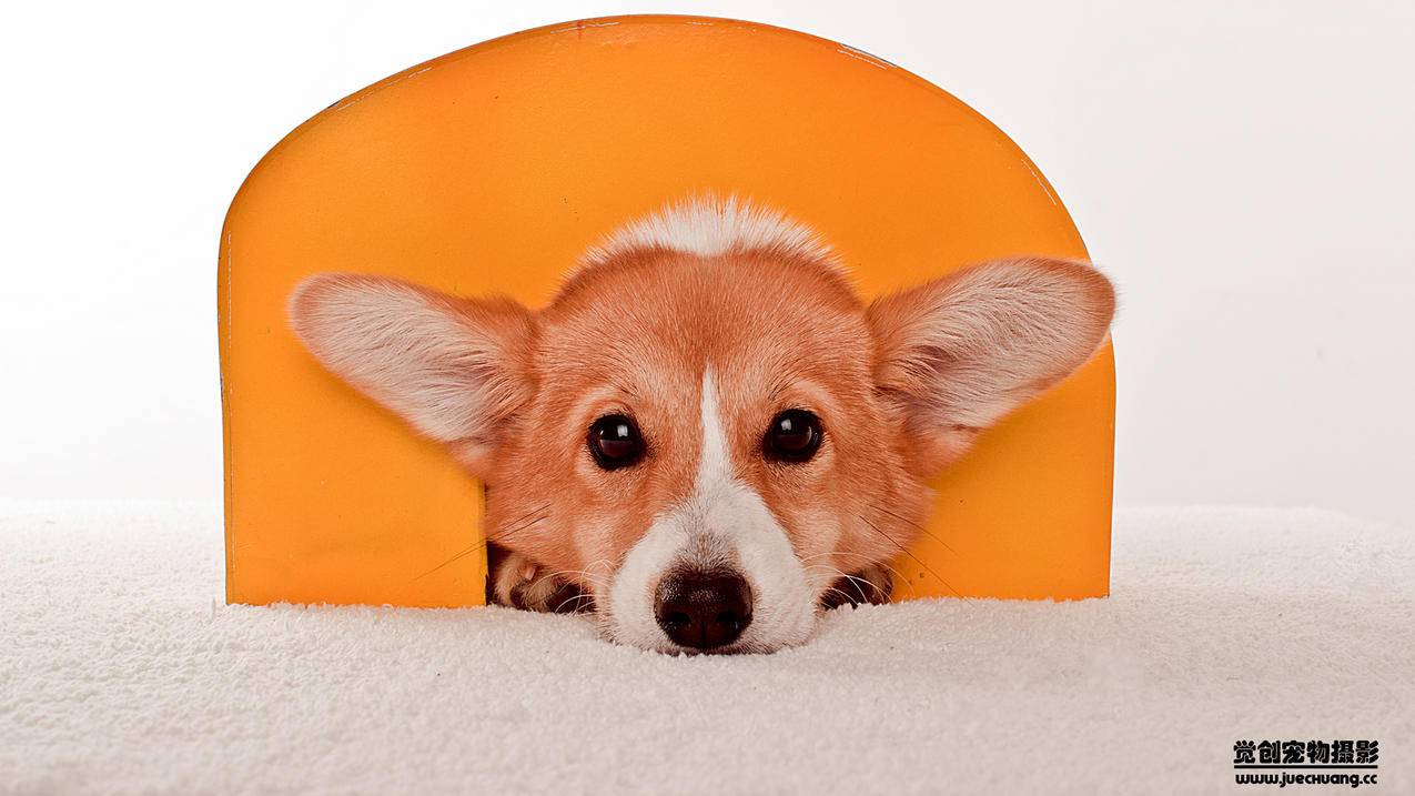 拼多多砍价宝刀怎么使-dy业务网